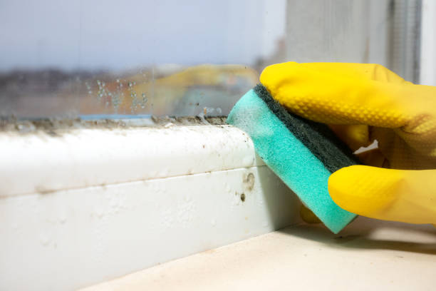 Best Mold Testing  in Fresno, CA