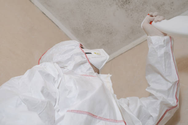Best Commercial Mold Removal  in Fresno, CA
