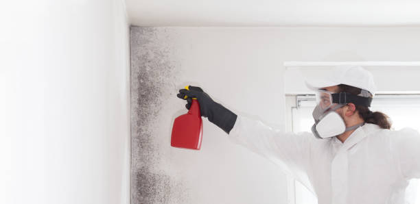 Best Office Mold Removal Services  in Fresno, CA