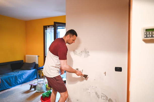 Best Mold Cleaning Services  in Fresno, CA