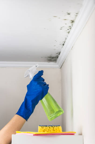 Best Water Damage Restoration  in Fresno, CA